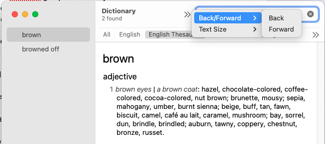 What A Stupid Fucking Design: Apple’s Dictionary App